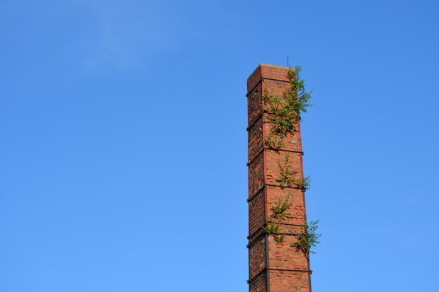 Chimney with plants growing out of it