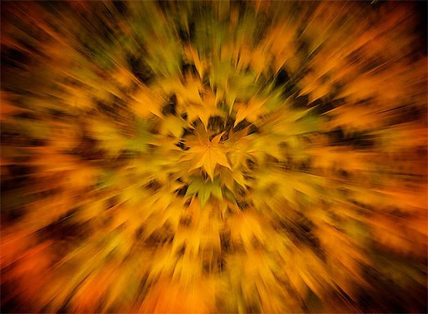 Zoom blur photo of autumn leaves
