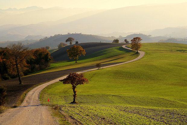Italian hills with a road leading into the distance